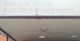 Erzurum Tortum İlçe Hastanesi