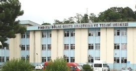 Rize Fındıklı Devlet Hastanesi