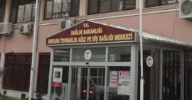 Ankara Topraklk Az Ve Di Sal Merkezi