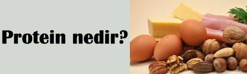 Protein Nedir?