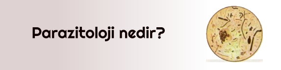 Parazitoloji nedir?