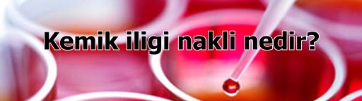 Kemik ilii nakli nedir?